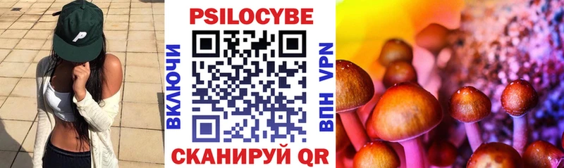 Галлюциногенные грибы Psilocybe  Вытегра 